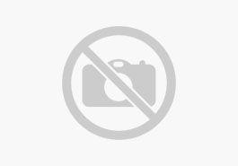 Seat Tarraco 2.0 TDI DSG AUTOMATIK 4Drive ALLRAD (GW-5185) XCELLENCE PANORAMADACH